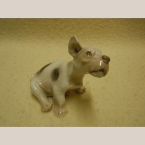 2028 B&G Dahl Jensen 