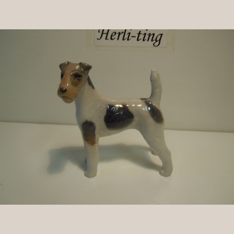 3165 Kgl Th. Madsen "Ruhret Foxterrier" 1.sort.